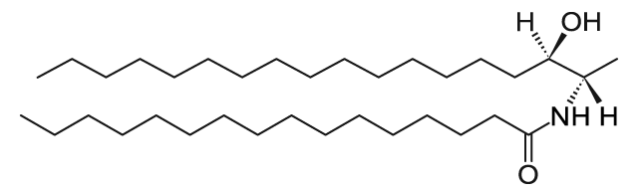 N-C16-脱氧鞘氨醇 CAS:378755-69-2 N-C16-deoxysphinganine