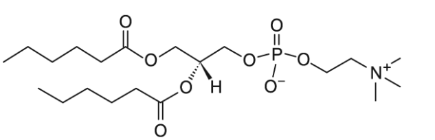 CAS:34506-67-7 06:0 PC (DHPC) 1,2-dihexanoyl-sn-glycero-3-phosphocholine CAS:34506-67-7 06:0 PC (DHPC) 1,2-dihexanoyl-sn-glycero-3-phosphocholine