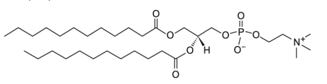 CAS:18194-25-7 12:0 PC (DLPC)    1,2-dilauroyl-sn-glycero-3-phosphocholine