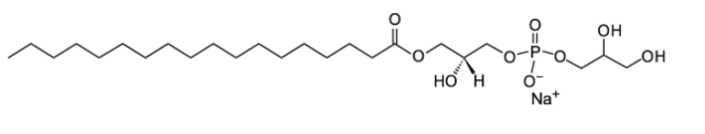 CAS:326495-23-2 ,  18:0 Lyso PG ,  18:0赖氨酸PG