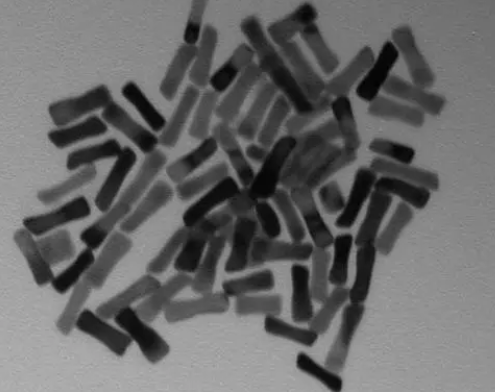    Au Nanorods 