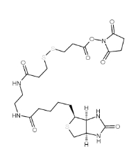 142439-92-7           BIOTIN DISULFIDE N-HYDROXY-SUCCINIMIDE ESTER	             3-[3-[2-(生物素酰胺)乙基]氨基-3-氧代丙基]二硫基]丙酸琥珀酰亚胺酯	