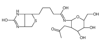 N-GLCNAC-生物素；1272755-69-7；N-GLCNAC-BIOTIN