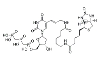   1221498-88-9               Biotin-11-dUTP	       生物素-11-脱氧三磷酸尿苷 	 