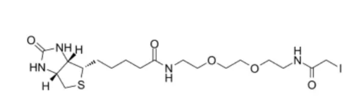 生物素-二聚乙二醇-碘乙酰胺 