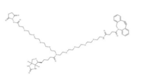 N-(DBCO-PEG4)-N-Biotin-PEG4-NHS