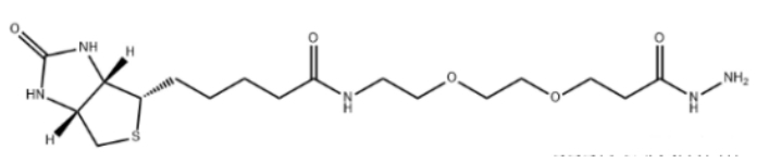 Biotin-PEG2-hydrazide  