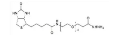 生物素-PEG4-酰肼  