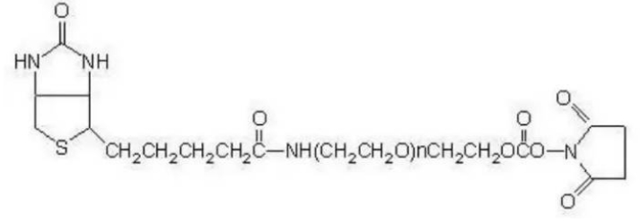 SC PEG Biotin  
