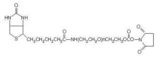 生物素 PEG 琥珀酰亞胺碳酸酯  