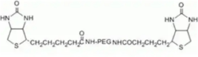 双端生物素聚乙二醇  