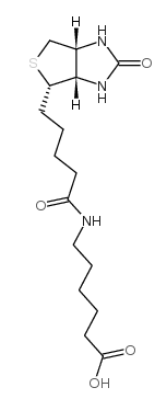 N-Biotinylcaproic Acid；72040-64-3；N-生物素己酸