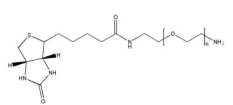 生物素-聚乙二醇-氨基；Biotin-PEG-NH2；可定制