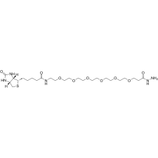 Biotin-PEG6-hydrazide  