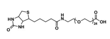 Biotin-PEG24-COOH 