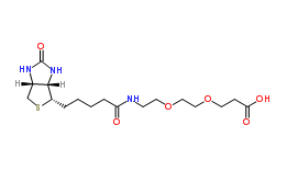 1365655-89-5；Biotin-PEG2-acid；可定制