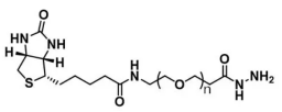 生物素-聚乙二醇-酰肼