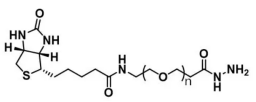 生物素-聚乙二醇-酰肼  