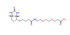 1365655-89-5；Biotin-PEG2-acid；可定制