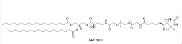 DSPE-PEG-Biotin ；磷脂酰乙醇胺-聚乙二醇-生物素