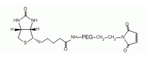 Biotin-PEG-Mal，生物素聚乙二醇馬來酰亞胺