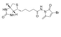 CAS:2468100-38-9 L-Biotin-NH-5MP-Br  生物素结合的5-亚甲基吡咯啉酮(5MP)