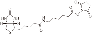 Succinimidyl-6-(biotinamido) Hexanoate  