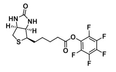 (+)-生物素-PFP-酯  