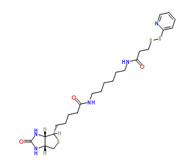 Biotin HPDP；129179-83-5；生物素-HPDP