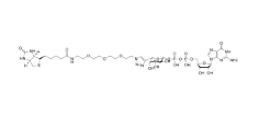 Phospholipid-PEG-Biotin (MW 1000) 磷脂质-聚乙二醇-生物素  磷脂聚乙二醇衍生物