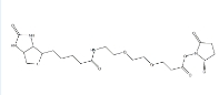 596820-83-6  Biotin-PEG2-NHS ester  9-(生物素氨基)-4,7-二氧杂壬酸N-琥珀酰亚胺酯