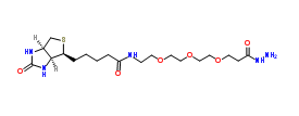 CAS：1381861-94-4；Biotin-PEG3-propionic hydrazide