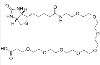 (+)-Biotin-PEG8-CH2CH2COOH；2143964-62-7；生物素八聚乙二醇丙酸