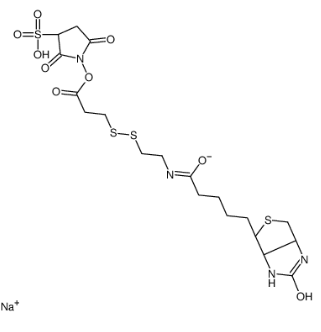 CAS：325143-98-4，Sulfo-NHS-SS-biotin