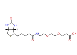 1365655-89-5          Biotin-PEG2-COOH	   生物素-PEG2-酸	