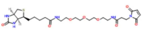   Biotin-PEG3-Maleimide  