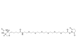 2055045-04-8          (+)-Biotin-PEG6-NHS Ester