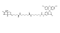 134759-22-1  Fluorescein Biotin  荧光素生物素[5-((N-(5-(N-(6-(联锡酰)氨基)己酰)氨基)戊基)硫代脲基基)萤光素]