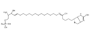 799812-63-8  ω-生物素D-赤型鞘氨醇-1-磷酸  Sphingosine 1-phosphate Biotin