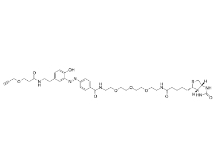 1884349-58-9      Diazo Biotin-PEG3-alkyne       生物素-三聚乙二醇-炔基