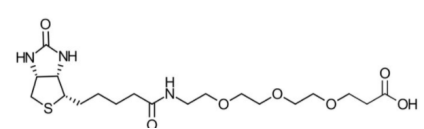 生物素三聚乙二醇丙酸