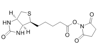 Biotin NHS；35013-72-0；(+)生物素-N-琥珀酰亚胺基酯