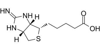 2-亚氨基生物素；13395-35-2；2-Iminobiotin