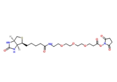 1253286-56-4，Biotin-PEG3-NHS，生物素-PEG3-NHS酯