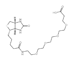 721431-18-1，Biotin-PEG4-COOH，生物素四聚乙二醇羧基