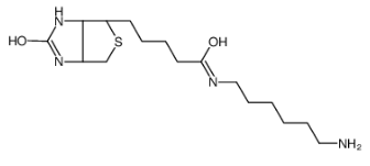 N-生物素基-1,6-己二胺；N-Biotinyl-1,6-hexanediamine