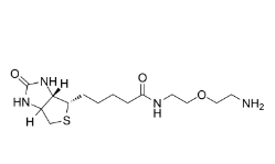cas:811442-85-0/Biotin-PEG1-amine/生物素一聚乙二醇氨基