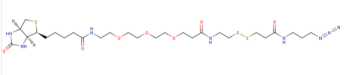 PC生物素-三聚乙二醇-缬氨酸-叠氮化物；PC-Biotin-PEG3-Val-N3