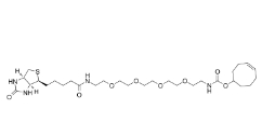 cas: 2183440-30-2/Biotin-PEG4-TCO/生物素四聚乙二醇反式环辛烯/