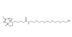 2762393-22-4             Biotin-PEG4-SH/生物素四聚乙二醇巯基